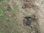 Latrine Site