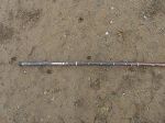 measuring-deer-tracks