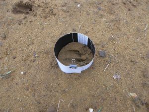 Cardboard dam ready for plaster