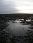 winter-field