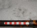 badger-track-in-snow