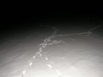 crossing-badger-tracks-1