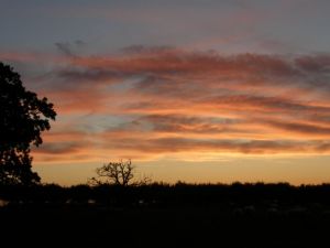 Red sky at night Summer sunset