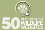 50 Best British Wildlife Websites