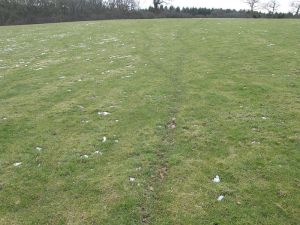 Badger Path on Pasture