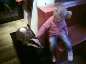 Scarlett and the Badger